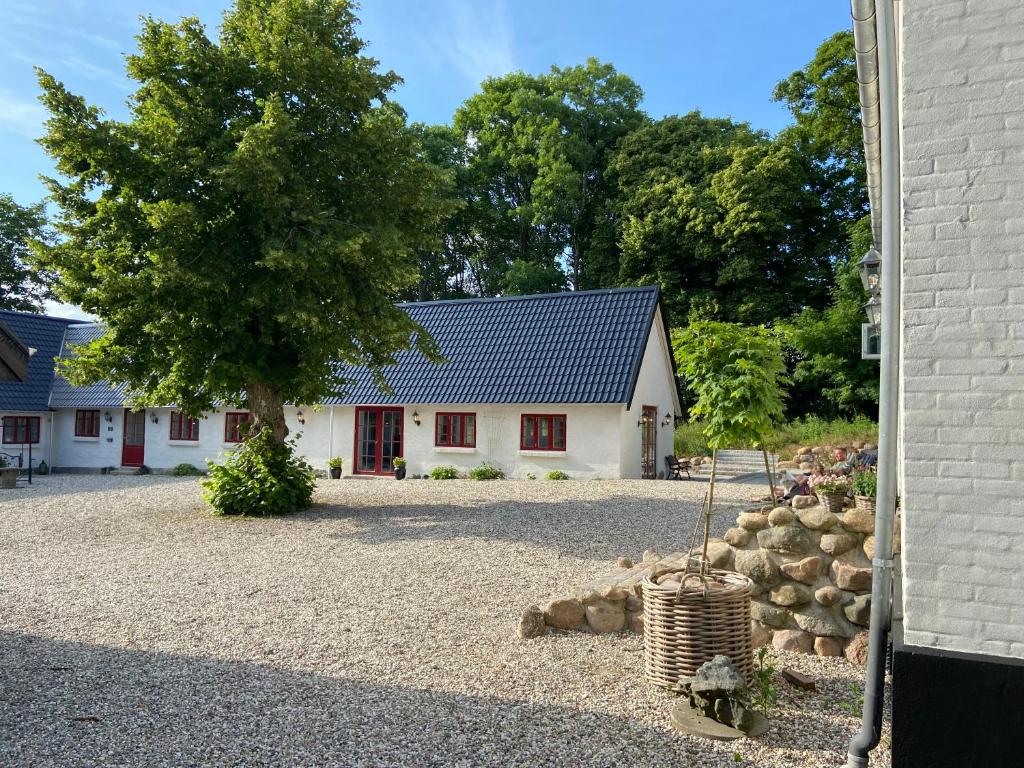 a house with a tree and a gravel driveway at Lindegaardens Bed and Breakfast in Viby