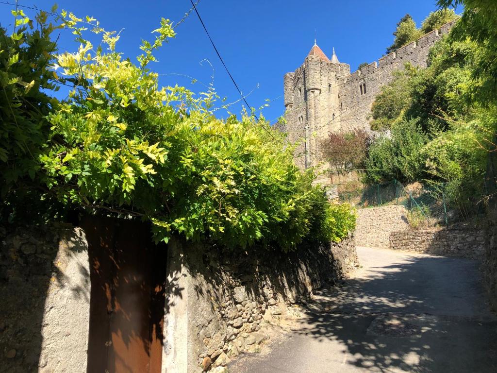 una carretera con un castillo en el fondo en Coté remparts, en Carcassonne