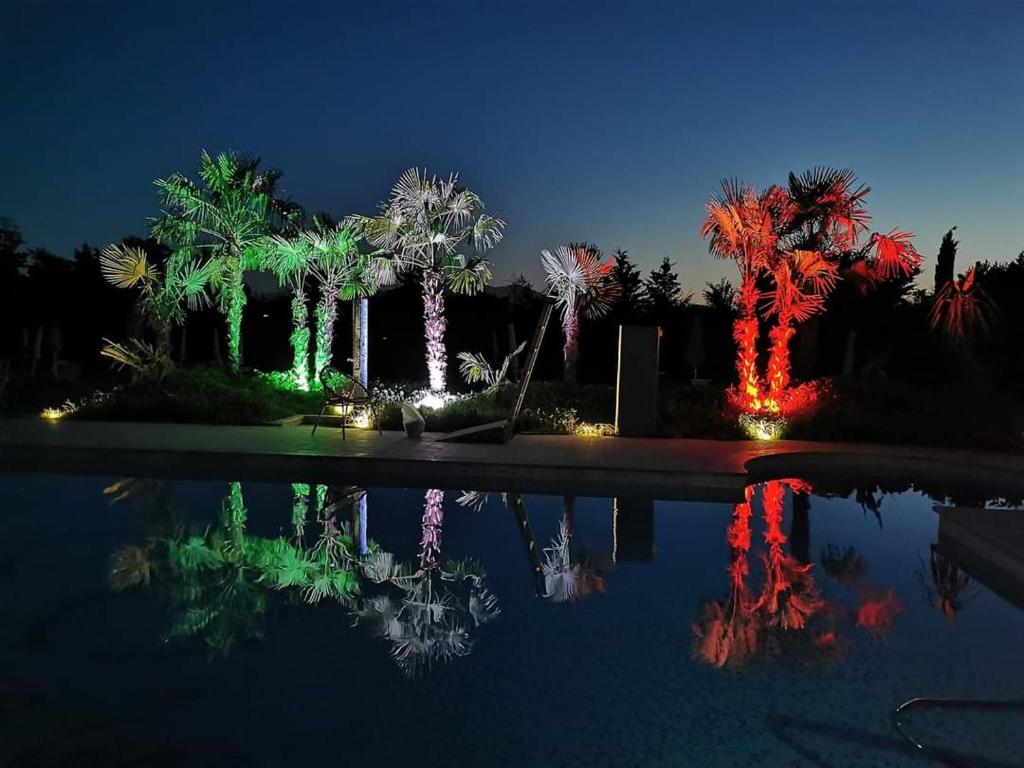 A garden outside Casal Sant'Elena