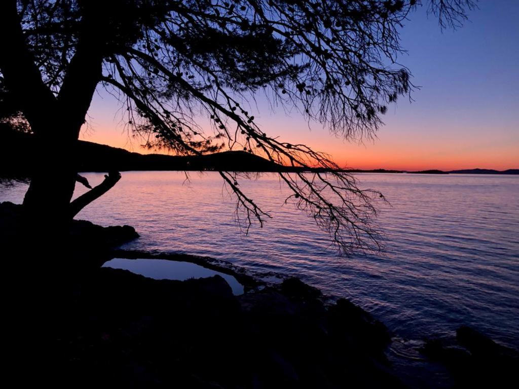 a tree sitting on the shore of a body of water at Island Residence in Sali