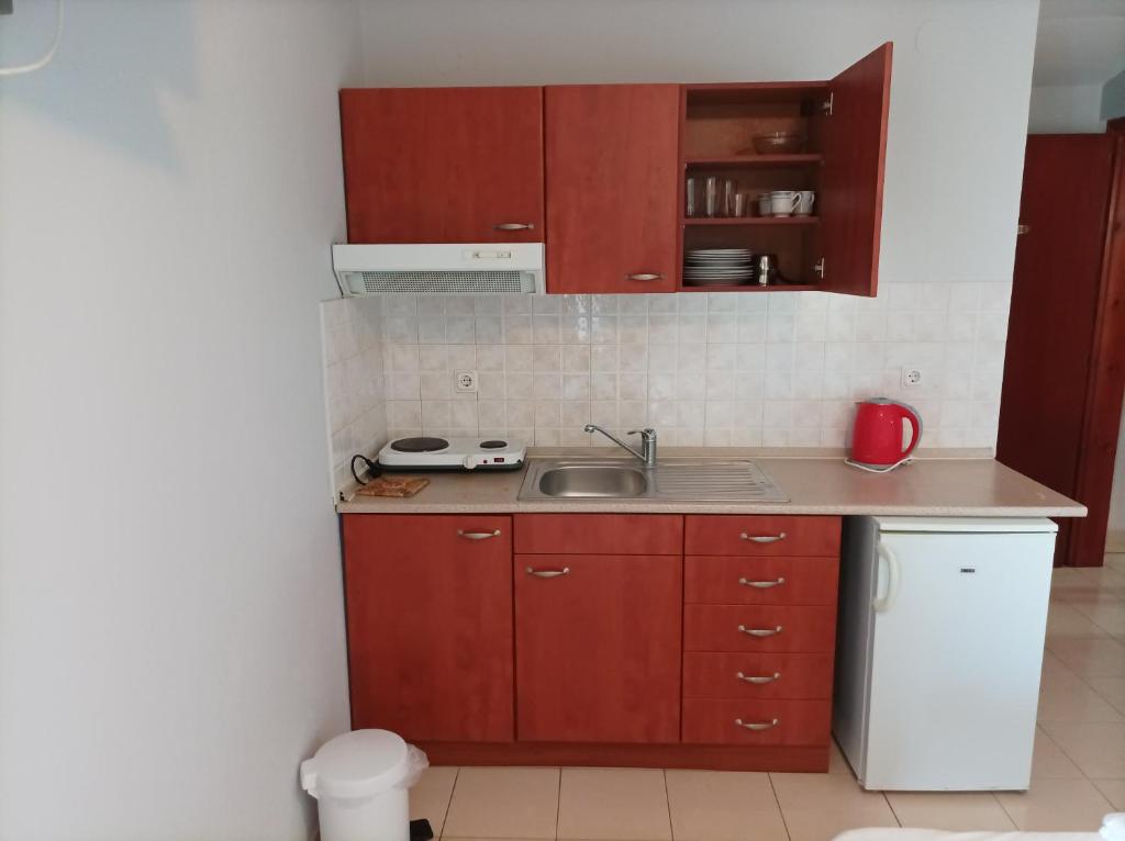 Kuchyň nebo kuchyňský kout v ubytování Villa Fallias