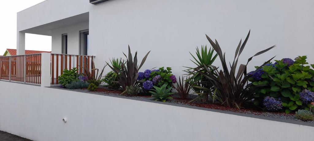 Zahrada ubytování Serenity Azores - Casa da Aldeia