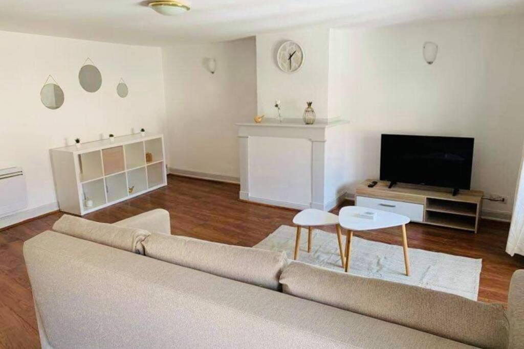 ein Wohnzimmer mit einem Sofa und einem Flachbild-TV in der Unterkunft Charmant appartement T2 hypercentre de Mazamet in Mazamet