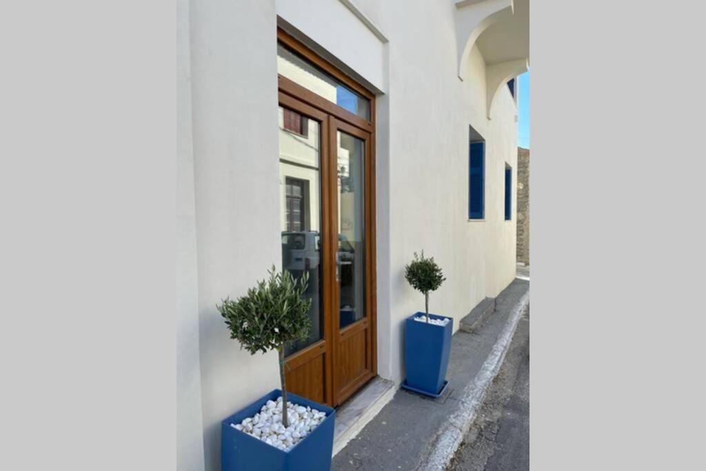 twee potplanten voor een deur bij PANOS ROOMS Beachfront apartment with Loft in Ándros