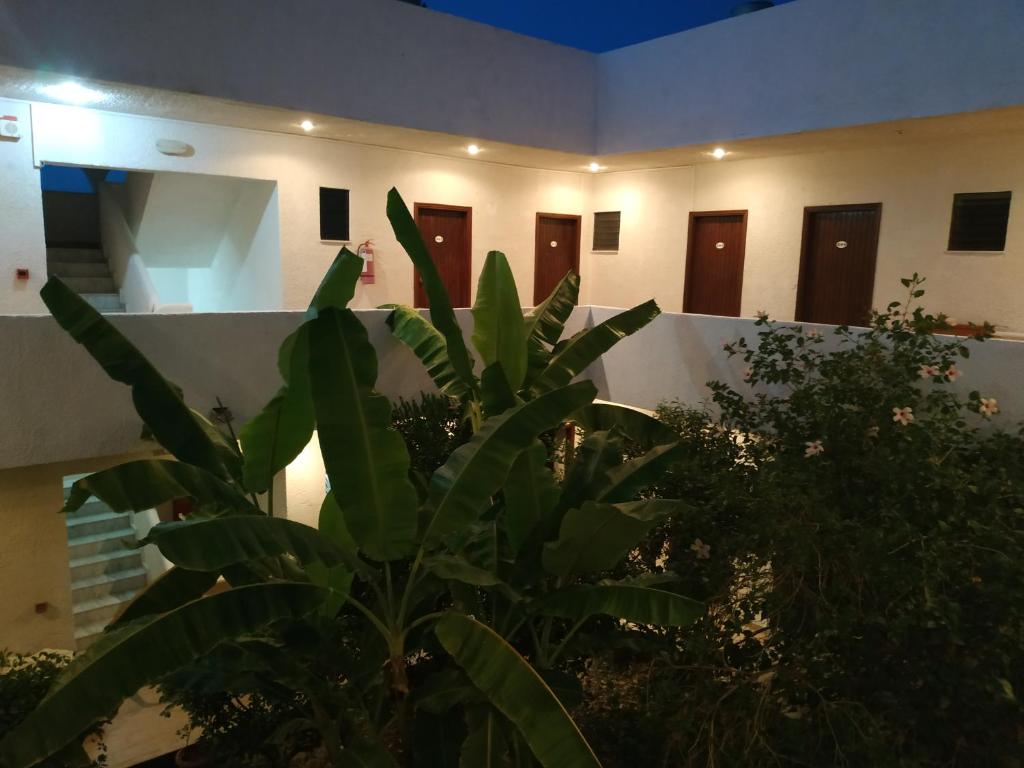Zahrada ubytování Hotel Narkissos