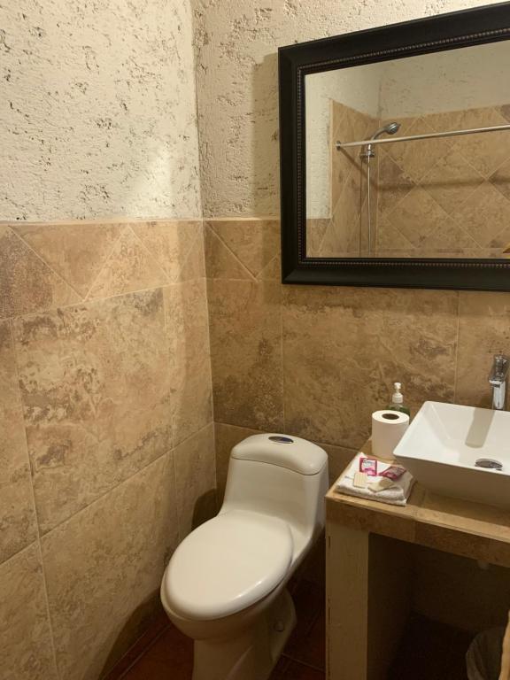 Hotel Mansion Del Rey - Deluxe Çift Kişilik Oda - Duşlu
