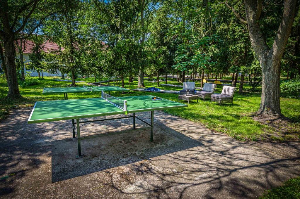 Stolní tenis v ubytování Herczeg Udvarház Poroszló nebo okolí