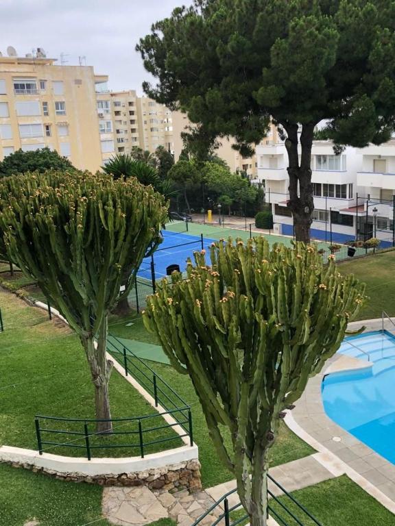 Très bel appartement avec piscine et tennis entre amis ou en ...