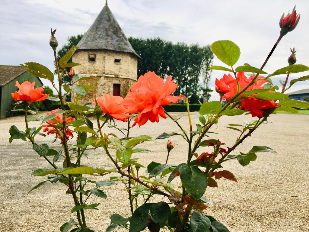 Zahrada ubytování Chambres dhotes a la ferme