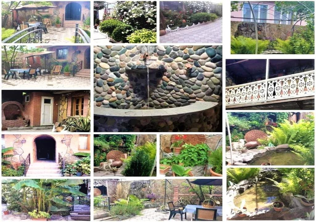 Zahrada ubytování Tamar Guest House