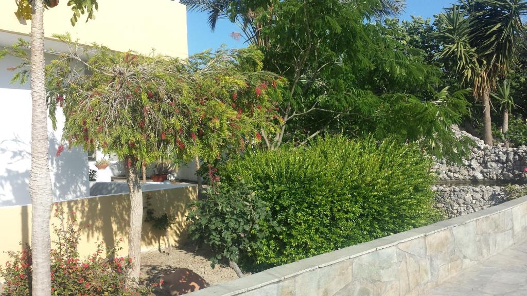 A garden outside Summer Days