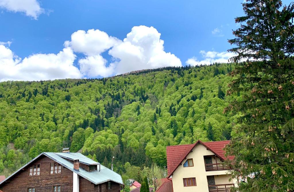 a view of a mountain with houses and trees at Holiday Home in Sinaia in Sinaia