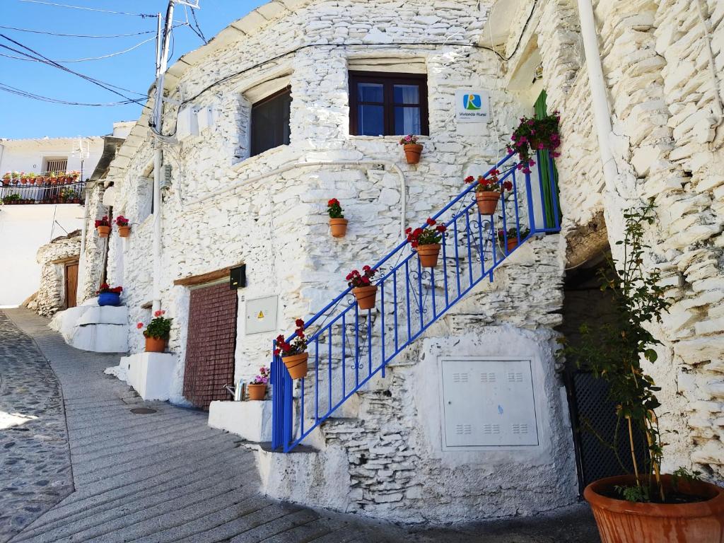 a building with blue stairs and potted plants on it at La Maestra in Trevélez