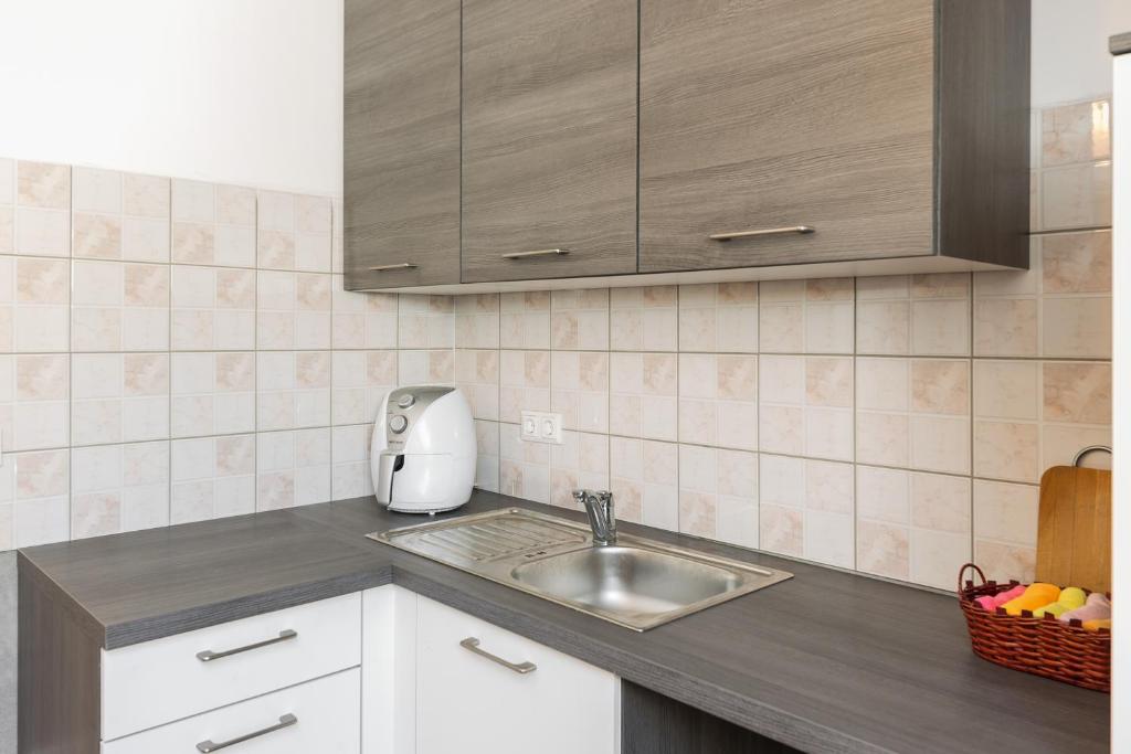 Kuchyň nebo kuchyňský kout v ubytování Apartmaji Trstenjak