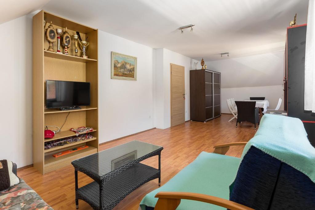 TV a/nebo společenská místnost v ubytování Apartmaji Trstenjak