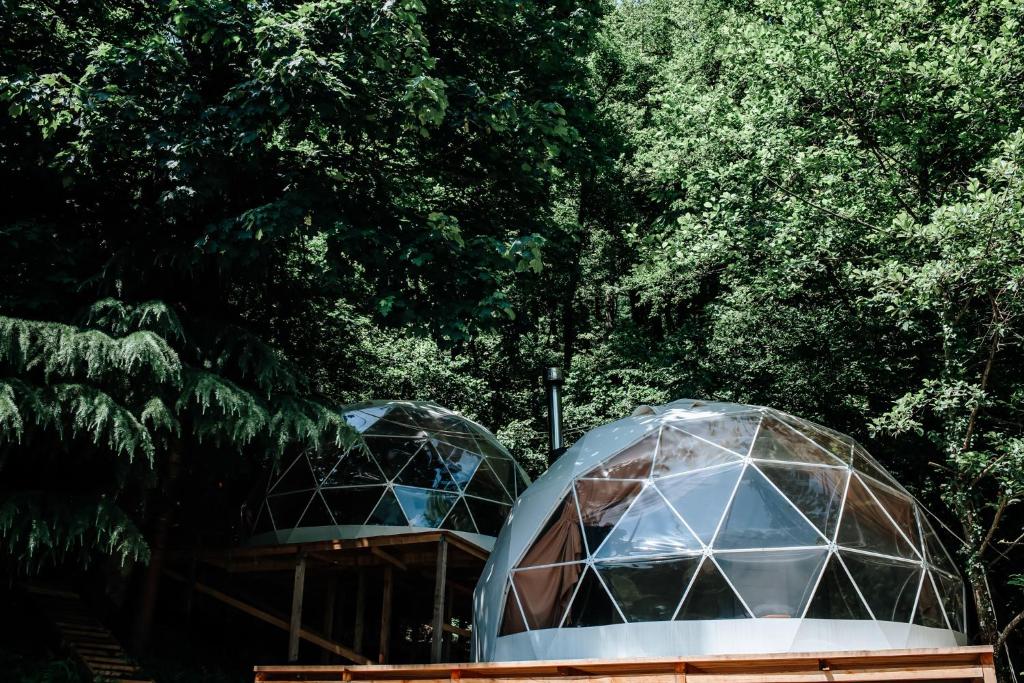 two domes with trees in the background at Глэмпинг СФЕРА in Krasnaya Polyana