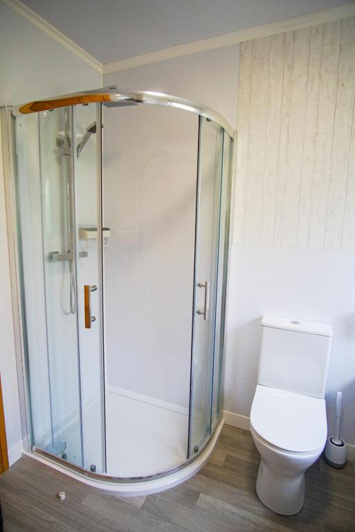 a bathroom with a toilet and a glass shower at Remuera, North Tolsta in North Tolsta