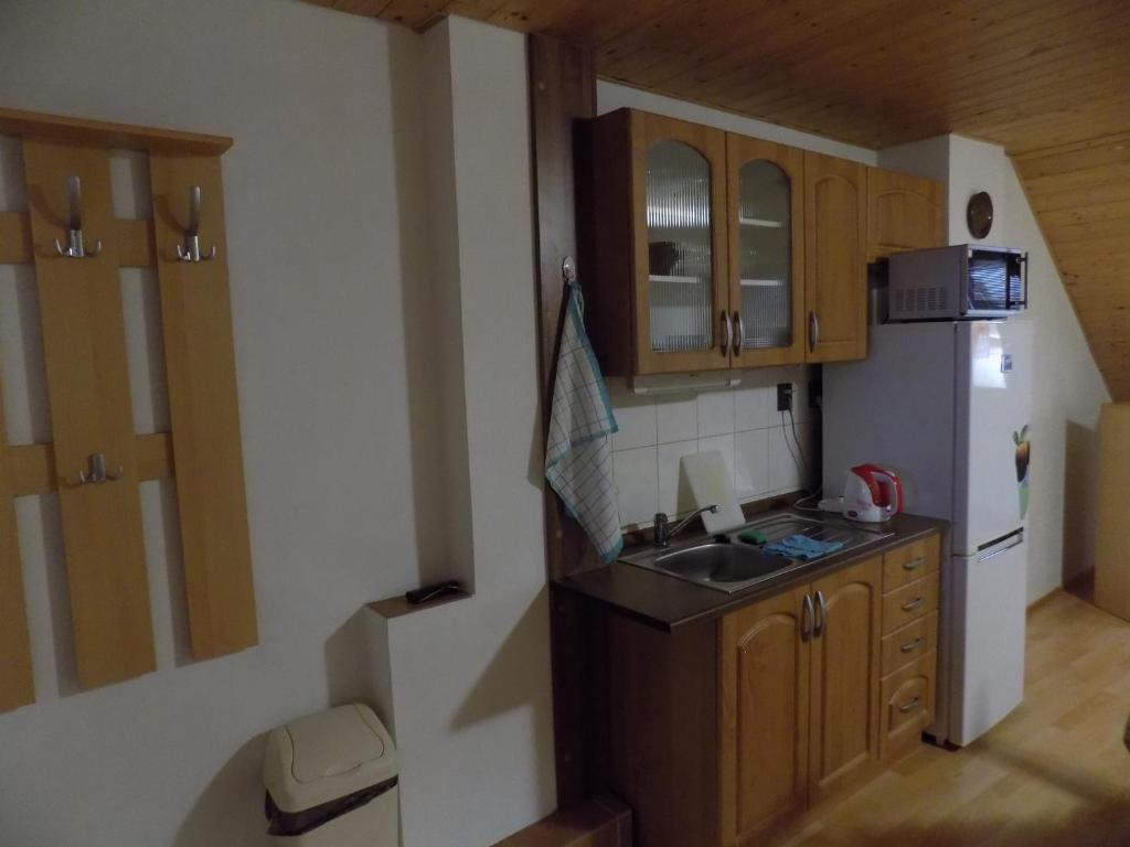Ubytování Apartmány Ferenčíková - 