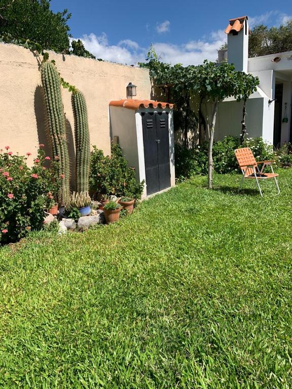 a yard with a shed and a chair and cactus at Casa Cafayate in Cafayate