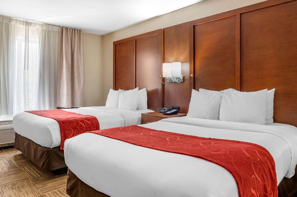 Postelja oz. postelje v sobi nastanitve Comfort Suites Urbana Champaign, University Area