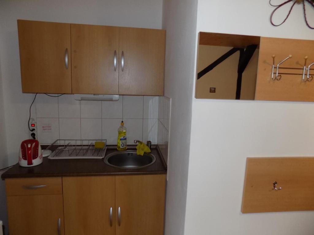 Kuchyň nebo kuchyňský kout v ubytování Ubytování Apartmány Ferenčíková