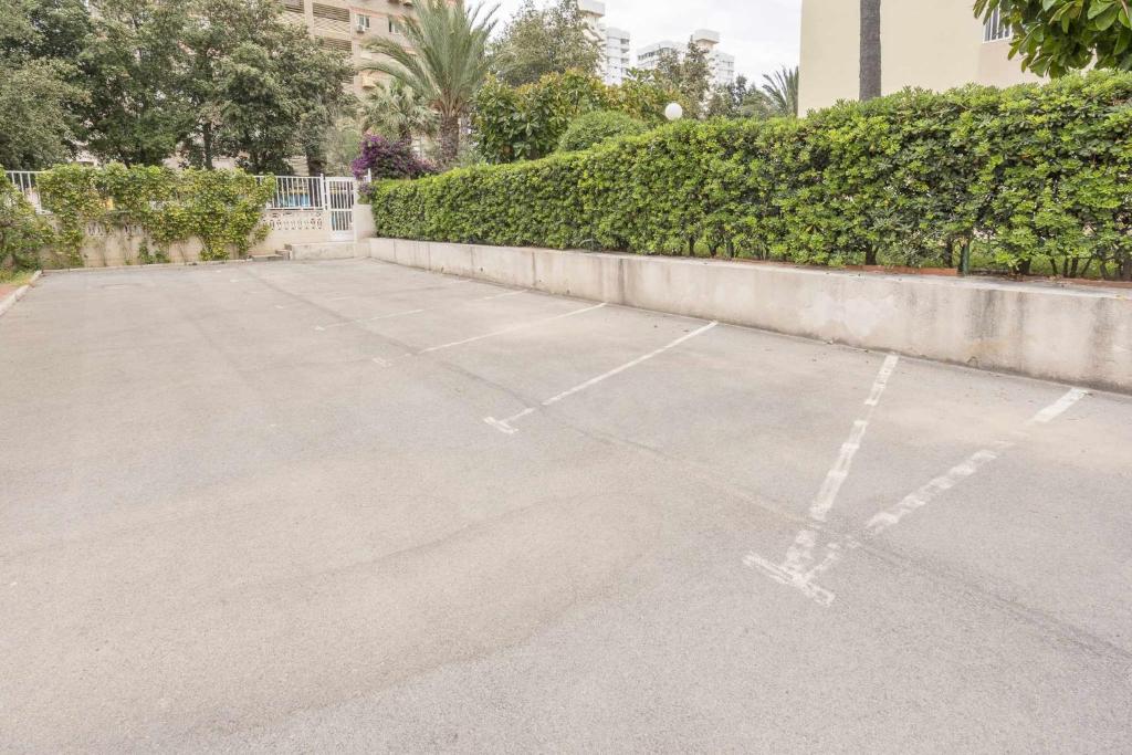 Delfín san juan, Alicante – Updated 2023 Prices