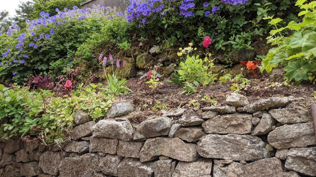a garden with flowers and a stone wall at Remuera, North Tolsta in North Tolsta