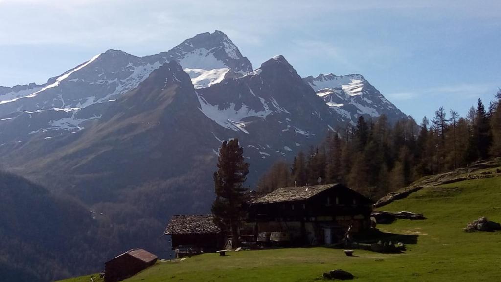 Fotografia z galérie ubytovania Stadel Soussun v destinácii Champoluc