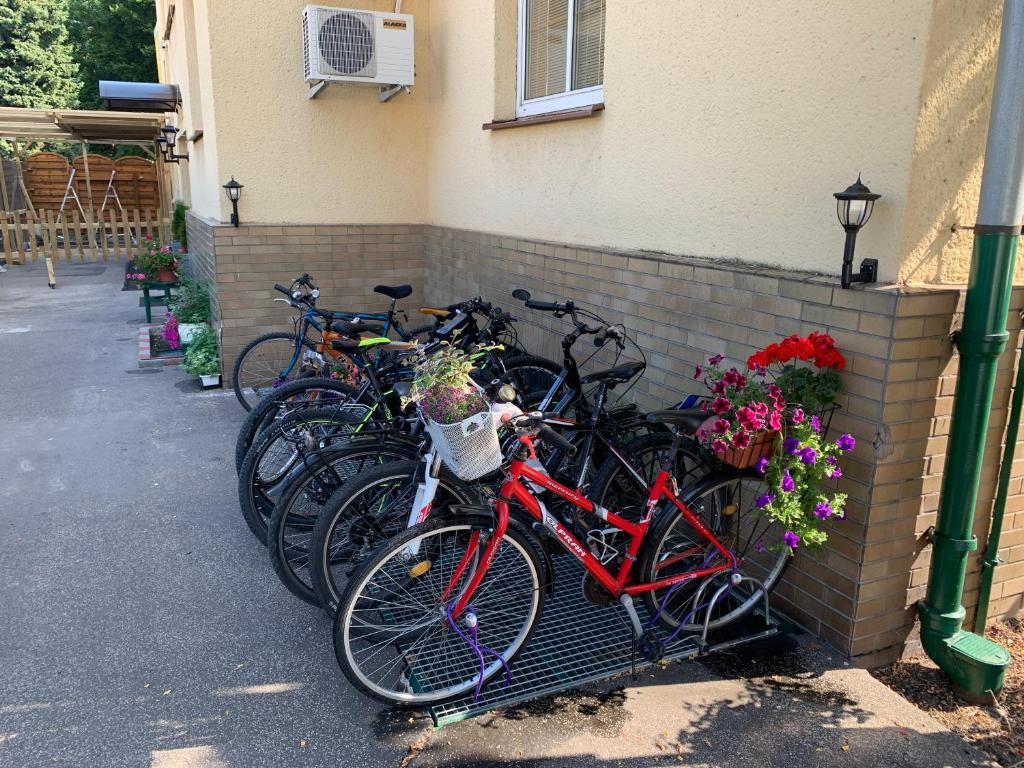 ZLATÁ-ÉRA - Resim 4