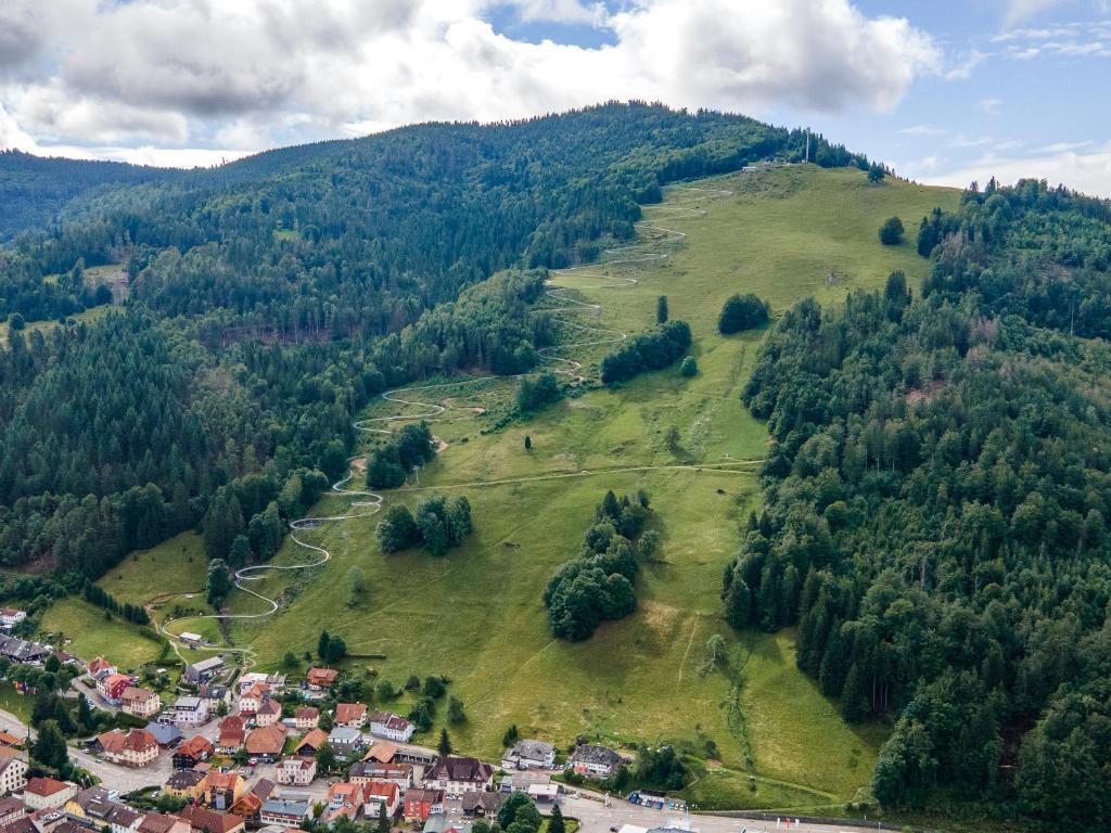 Příroda nedaleko apartmánu