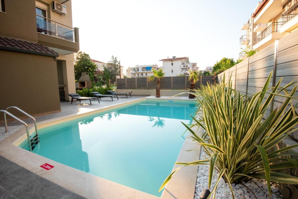 OLIVE 202 - Housity