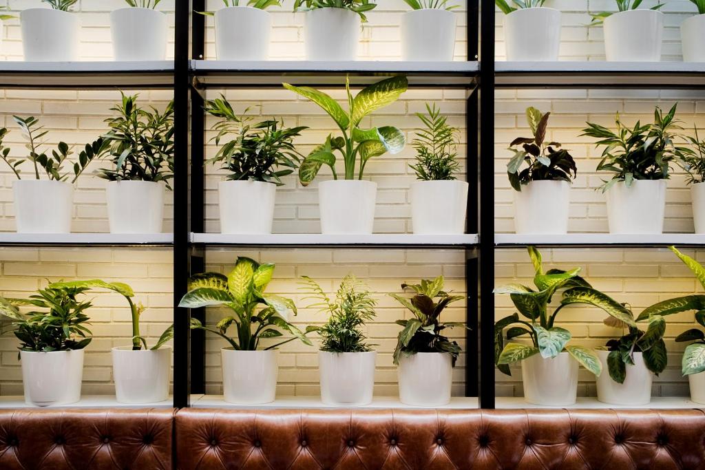 Fotografie z fotogalerie ubytování Praktik Bakery v destinaci Barcelona