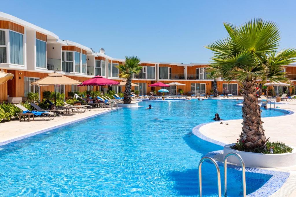 a swimming pool with palm trees in a resort at Riva Hill Resort Lankaran in Lankaran
