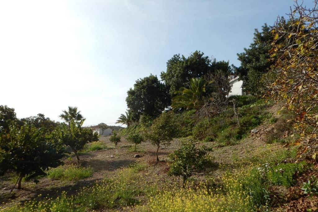 Spacious house with sea view - Casa Natalizia
