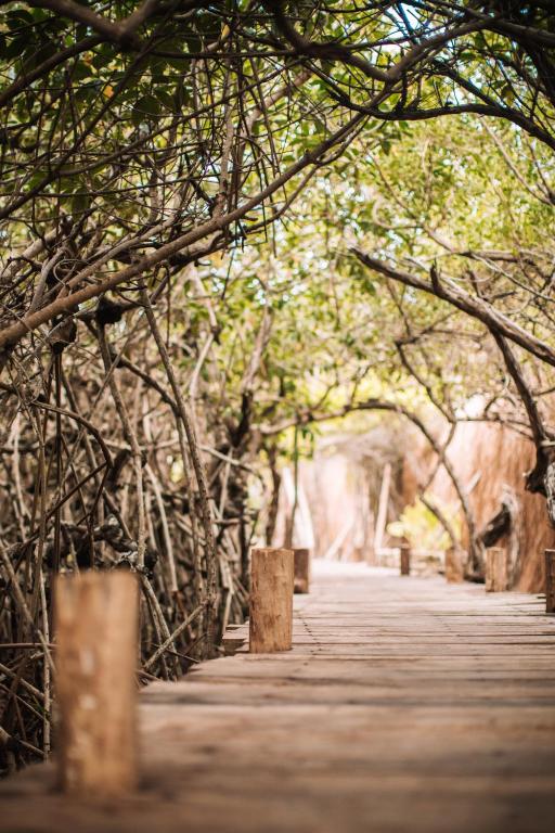 Fotografie z fotogalerie ubytování Uman Glamping & Cenote Tulum v destinaci Tulum