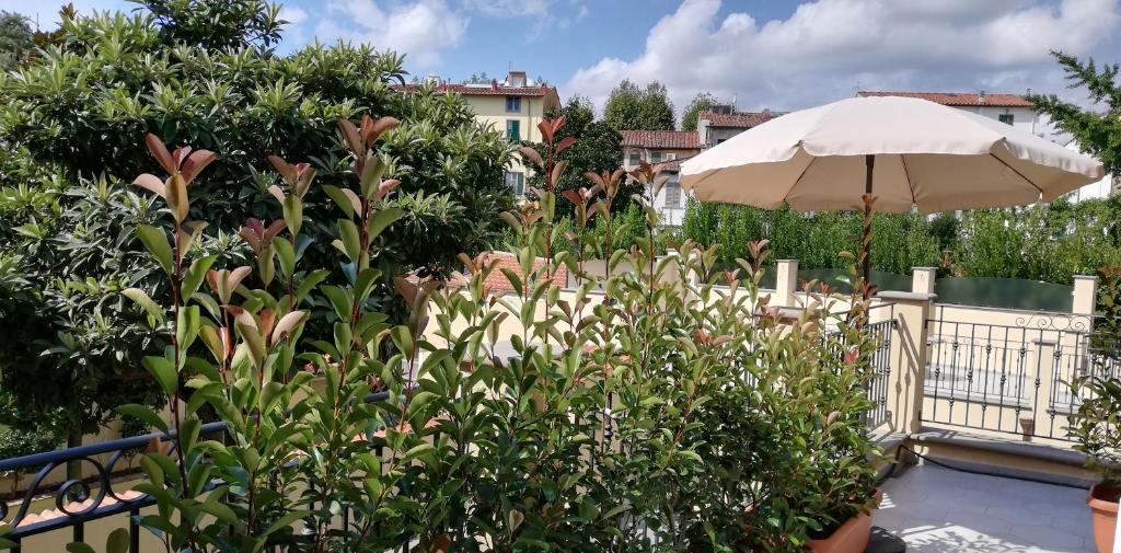 Vonkajšia záhrada v ubytovaní Casa Ridolfi Holiday Home -Una terrazza sui giardini di Pisa