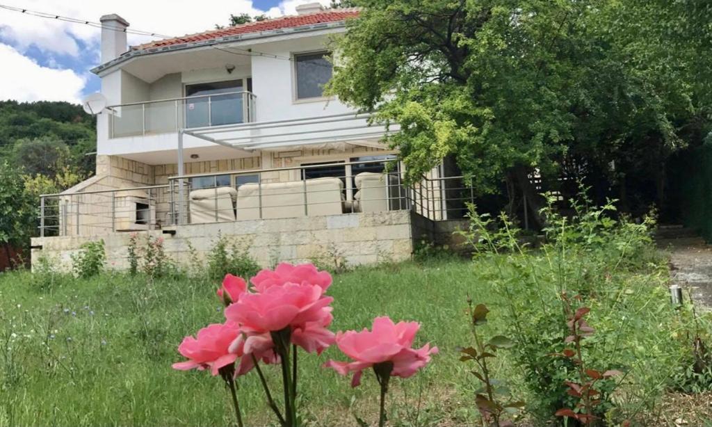 Villa Darina