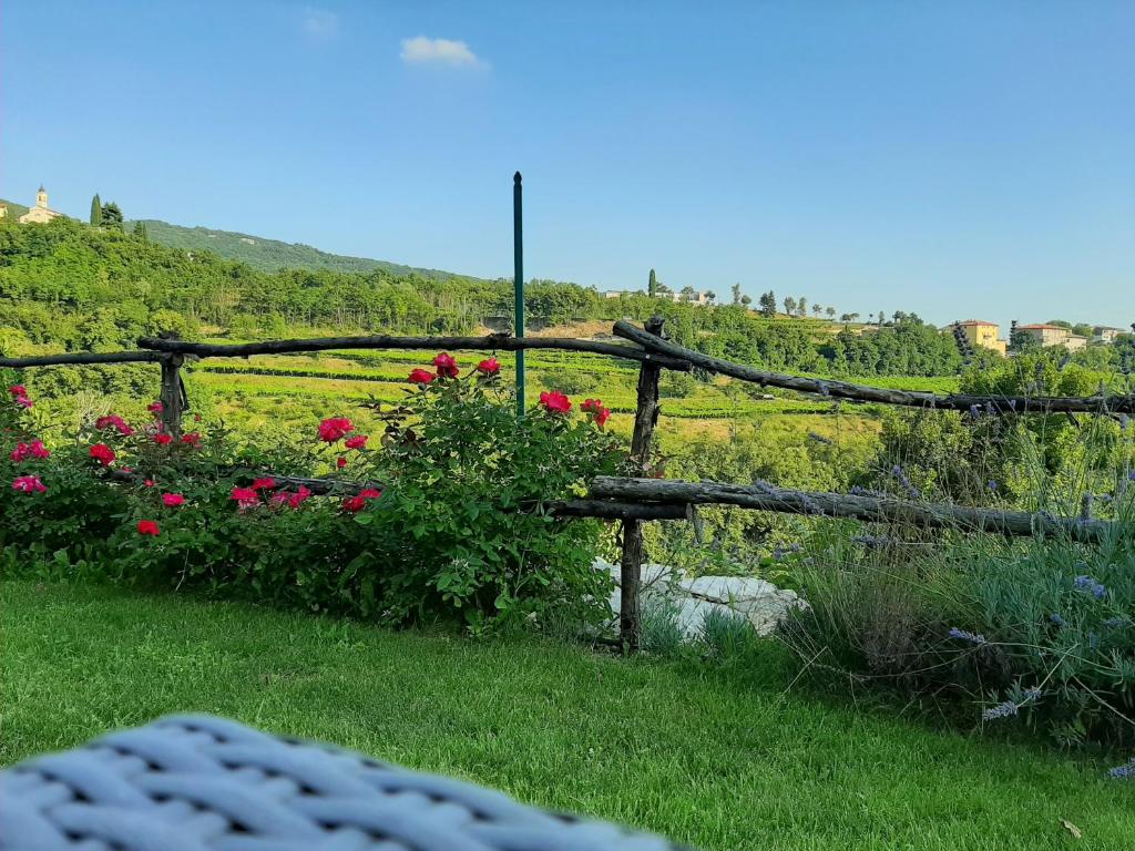 Příroda nedaleko bed and breakfast