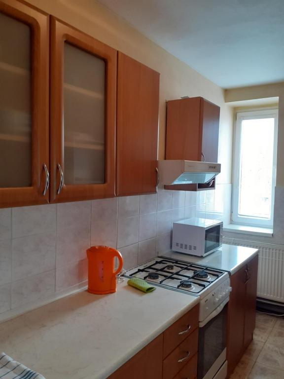 Kuchyň nebo kuchyňský kout v ubytování Privát Čujová