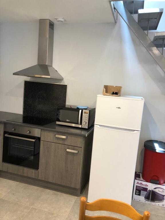 La cuisine est équipée d'un réfrigérateur blanc et d'un four micro-ondes. dans l'établissement Appartement en centre ville, à Hyères