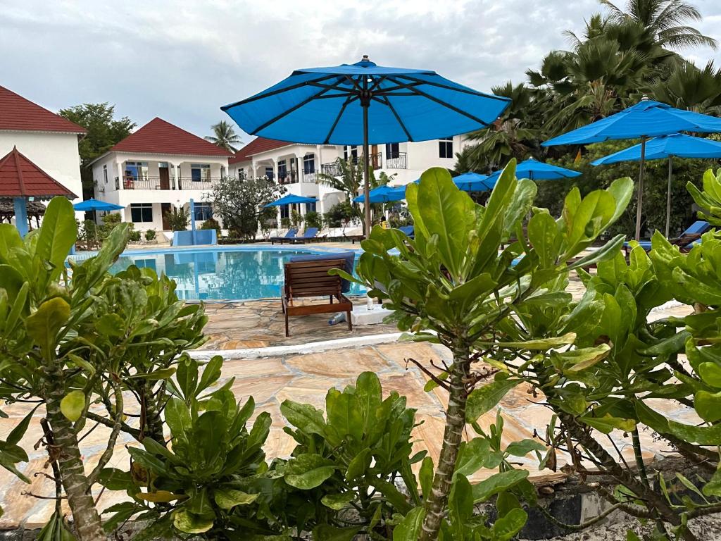 a resort with a pool with blue umbrellas at Visitor's Inn in Jambiani