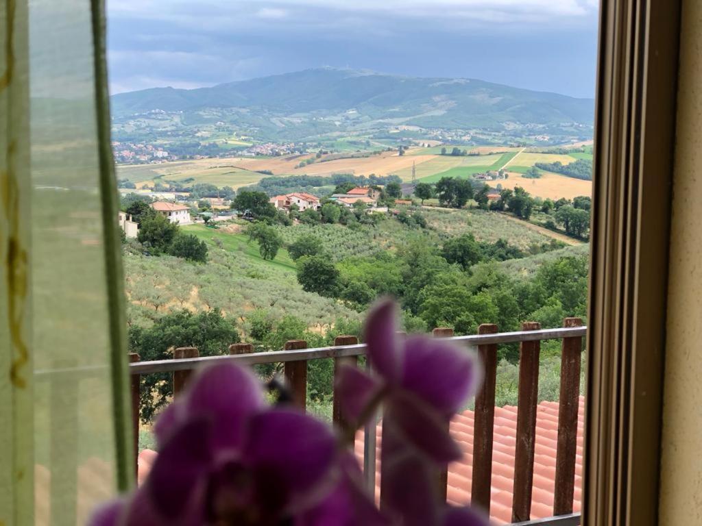 - une vue sur la vallée depuis une fenêtre ornée de fleurs violettes dans l'établissement Locazione in Appartamento sita in via Ponte di Ferro 2 b, à Gualdo Cattaneo