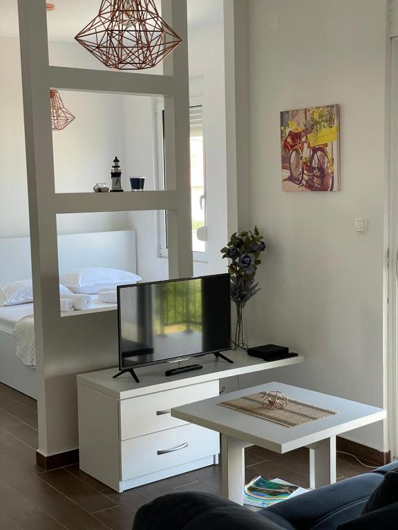 TV a/nebo společenská místnost v ubytování Apartments Tina