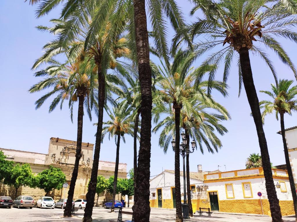 Loft Sherry, Jerez de la Frontera – Updated 2023 Prices