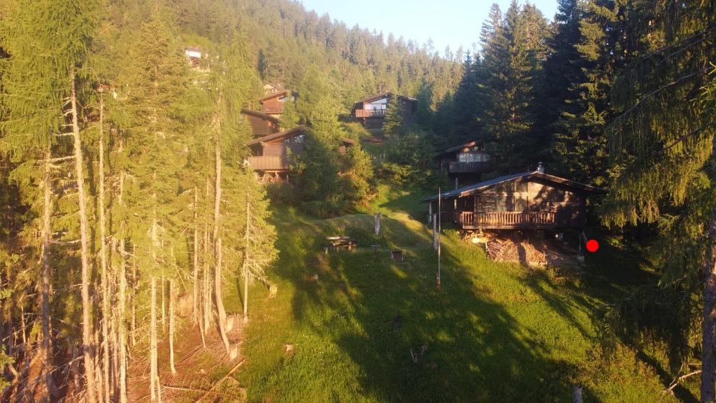 a group of houses on a hill in a forest at Almhaus Goldeck in Schwaig