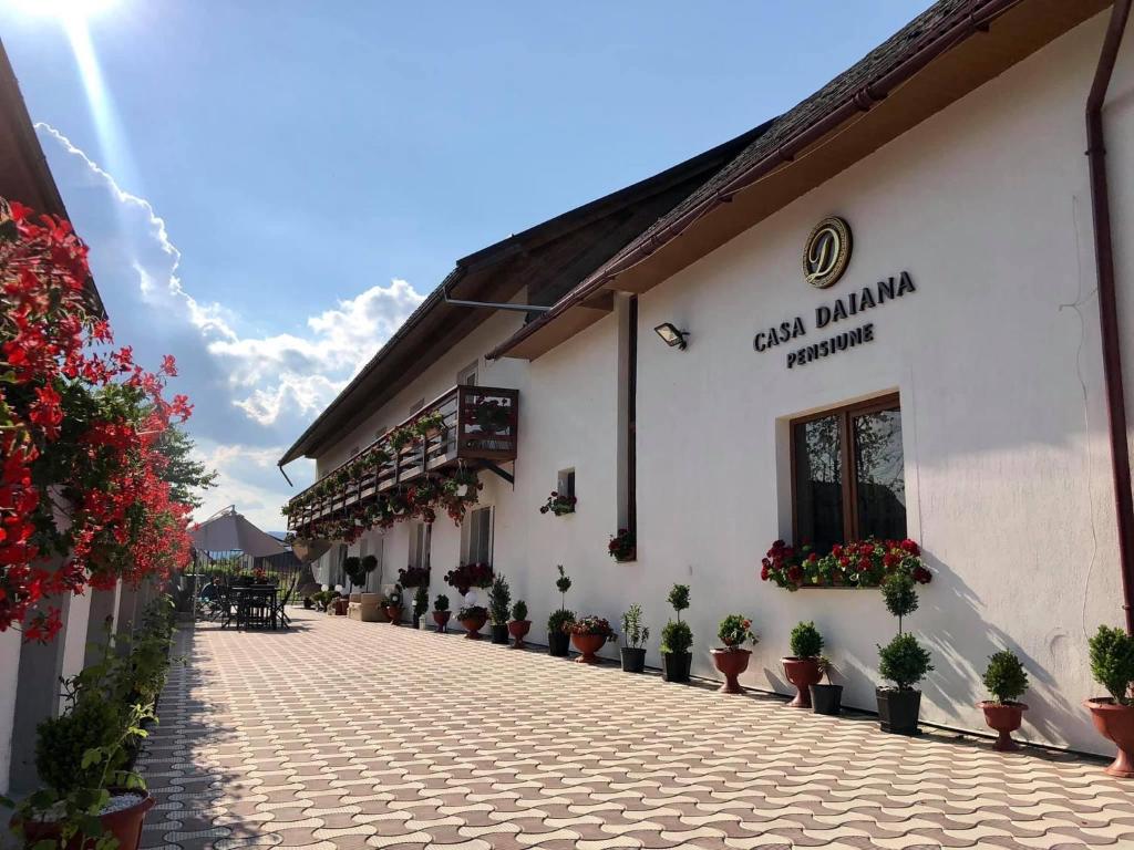 a building with potted plants on the side of it at Casa Daiana in Ocna Şugatag