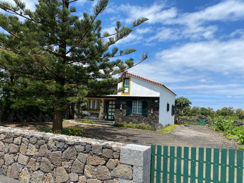 Casa da Costa - Holiday Home