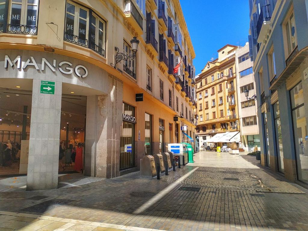 Apartamento junto a Calle Larios - 19