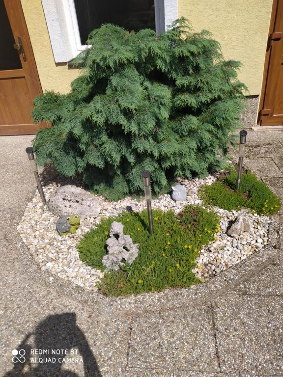 Ubytovanie Athéna - Resim 11