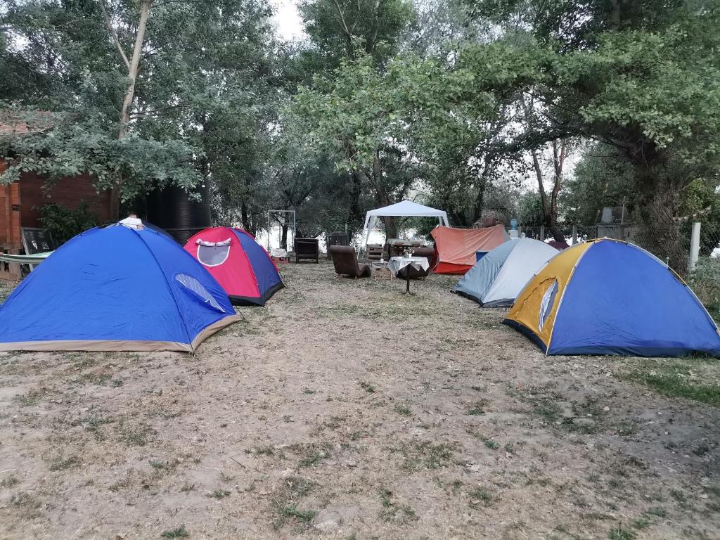 Foto de la galería de EXIT Camping with bungalow, mobile home, tents, and empty spots with private acces to the beach en Novi Sad